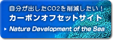 自分が出したCO2を削減したい！カーボンオフセットサイトNature Development of the Sea