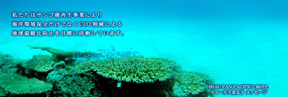 私たちはサンゴ礁再生事業により海洋環境保全だけでなくCO2削減による地球温暖化防止を目標に活動しています。